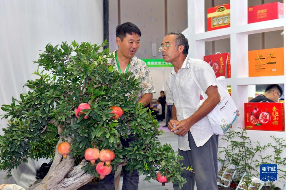 博艺堂官网